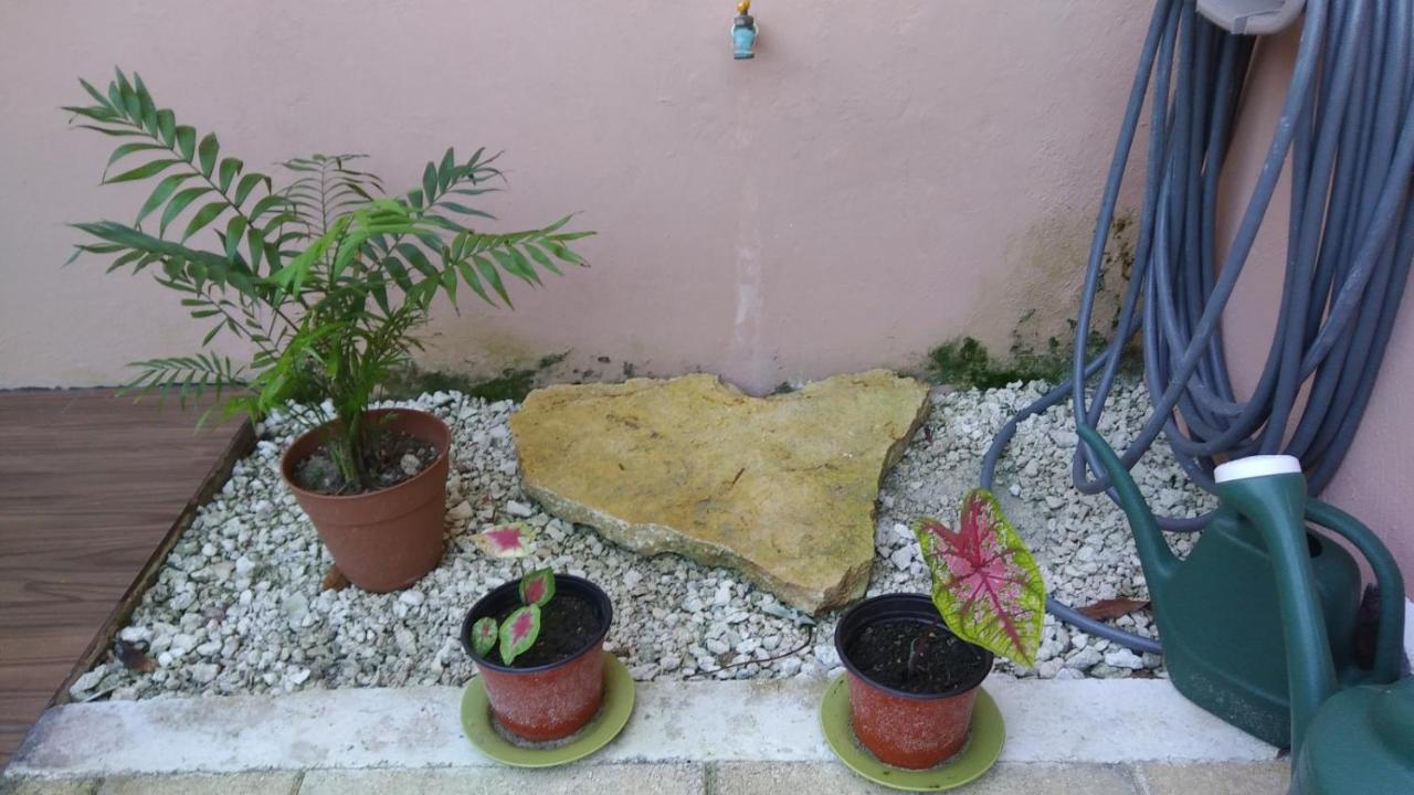 Apartment Casa Sandy *